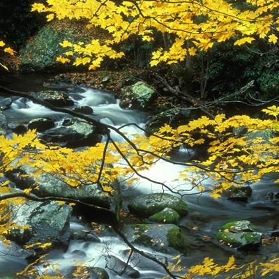 leyu·乐鱼体育手机app下载